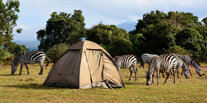 Tanzania camping safari